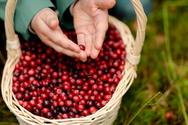 Similar image 22425360