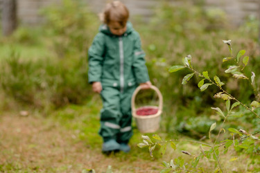 Similar image 22425361