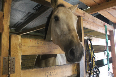 Similar image 22399804