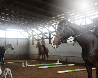 Similar image 22399817