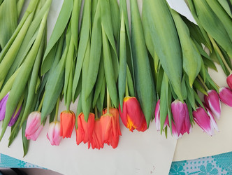 Similar image 22399824