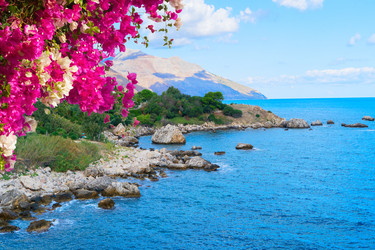 Similar image 22422381