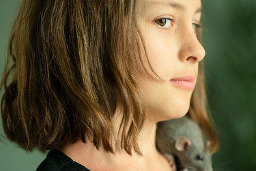 Similar image 22425376