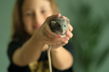 Similar image 22425377