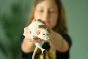 Similar image 22425378