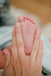 Similar image 22425387