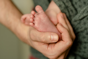 Similar image 22425396