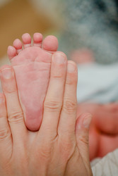 Similar image 22425397