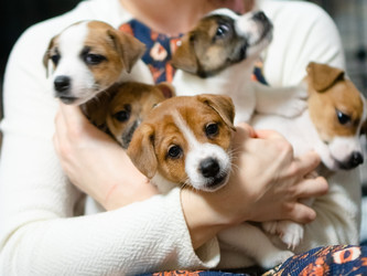 Similar image 22425398