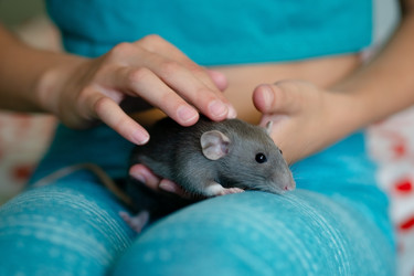 Similar image 22425405