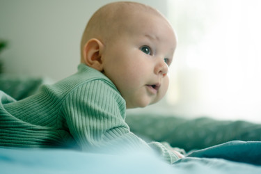 Similar image 22425406