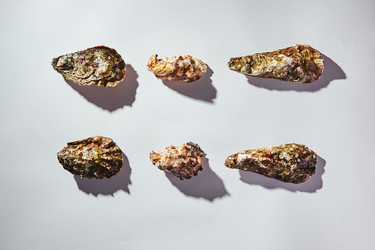 Similar image 22465135