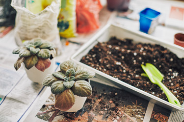 Similar image 22465201