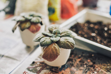 Similar image 22465202