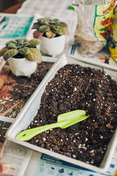 Similar image 22465203