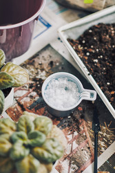 Similar image 22465204