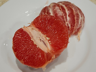 Similar image 22423493