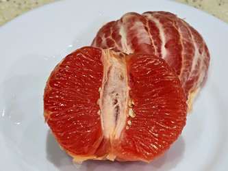 Similar image 22423495