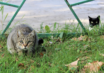 Similar image 22423523