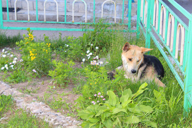 Similar image 22416266