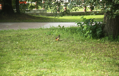 Similar image 22423525