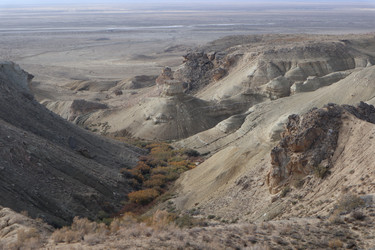 Similar image 22403618