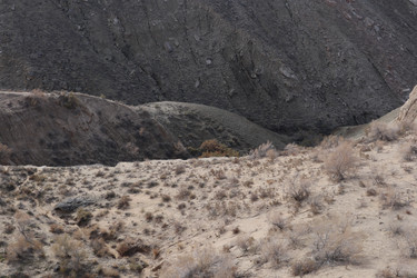 Similar image 22403619