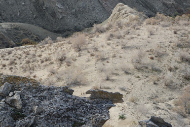 Similar image 22403621