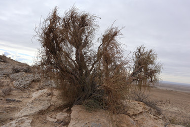 Similar image 22403290