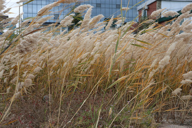 Similar image 22403292