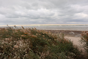 Similar image 22403293