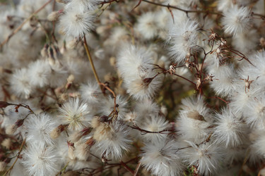 Similar image 22403304