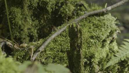 Similar image 22462426