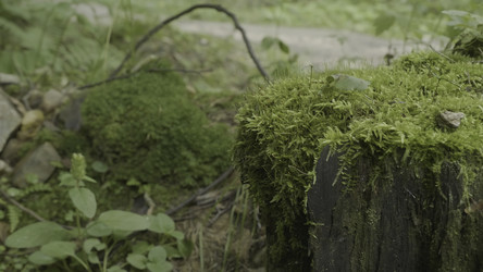 Similar image 22462456