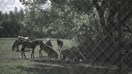 Similar image 22462668