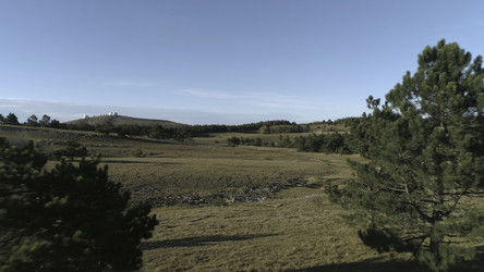 Similar image 22462844