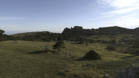 Similar image 22462858