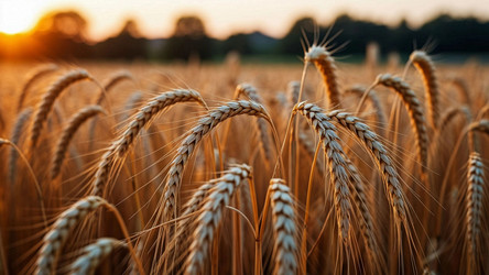 Similar image 22402427