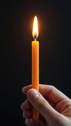 Similar image 22402454