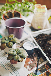 Similar image 22465269