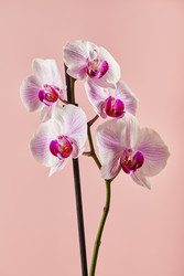 Similar image 22465126