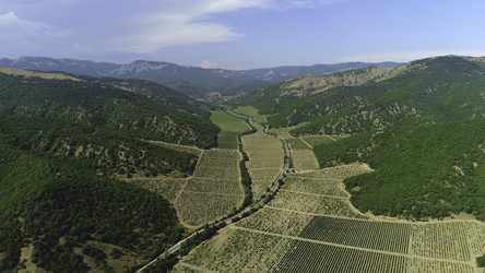 Similar image 22463999