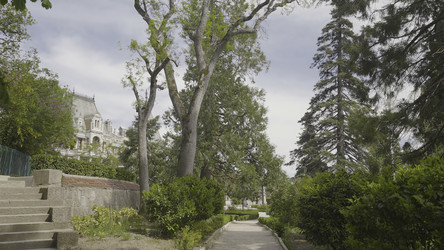 Similar image 22469873