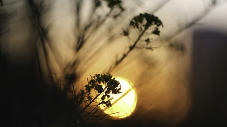 Similar image 22469888