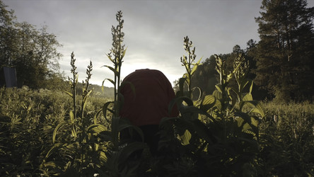 Similar image 22458232