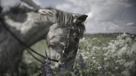 Similar image 22458338