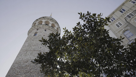 Similar image 22458473