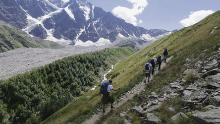 Similar image 22458502