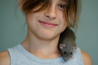 Similar image 22425415