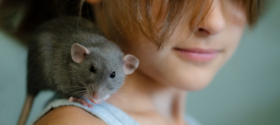 Similar image 22425416